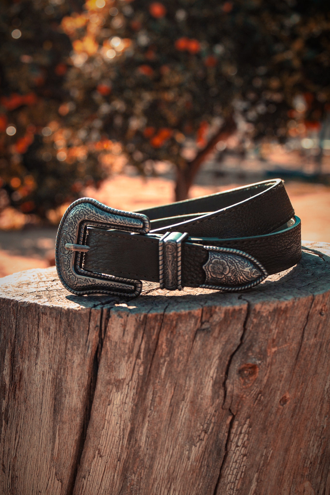 BELTS