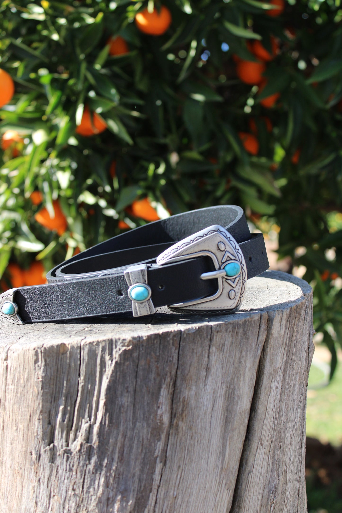 Silver Buckle Belt