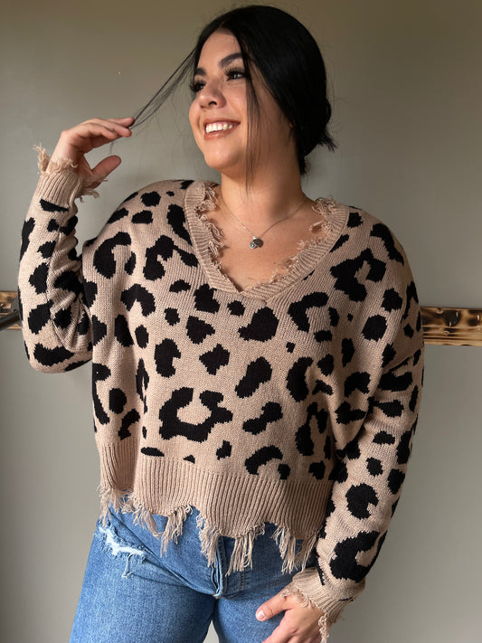 Leopard Sweater